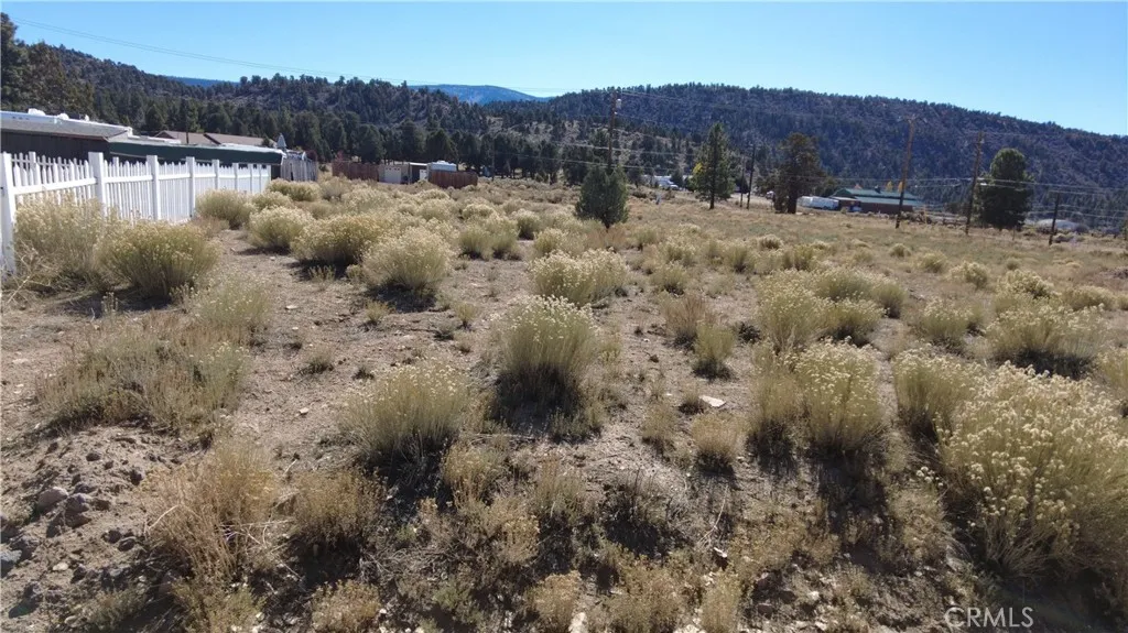 777 Old Pioneer Town, Baldwin Lake, CA 92314 - Photo 3 of 12, Baldwin Lake, CA