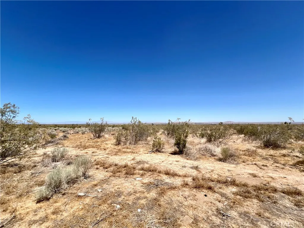 33501 165th Street E, Llano, CA 93544 - Photo 3 of 10, Llano, CA