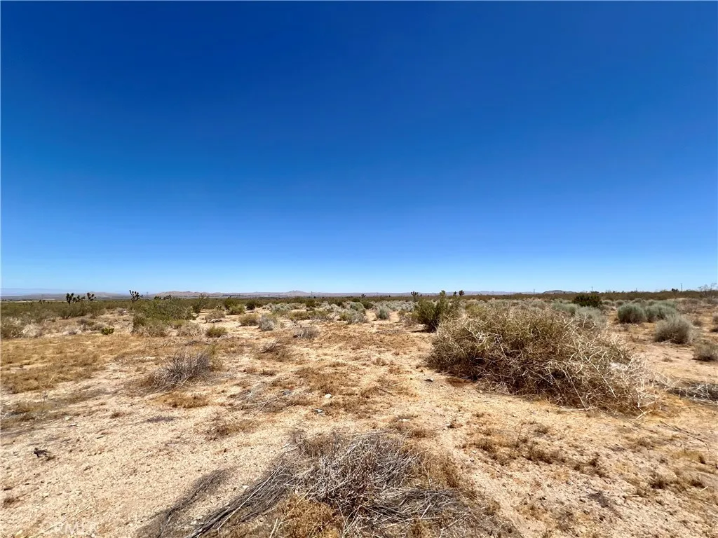 33501 165th Street E, Llano, CA 93544 - Photo 5 of 10, Llano, CA
