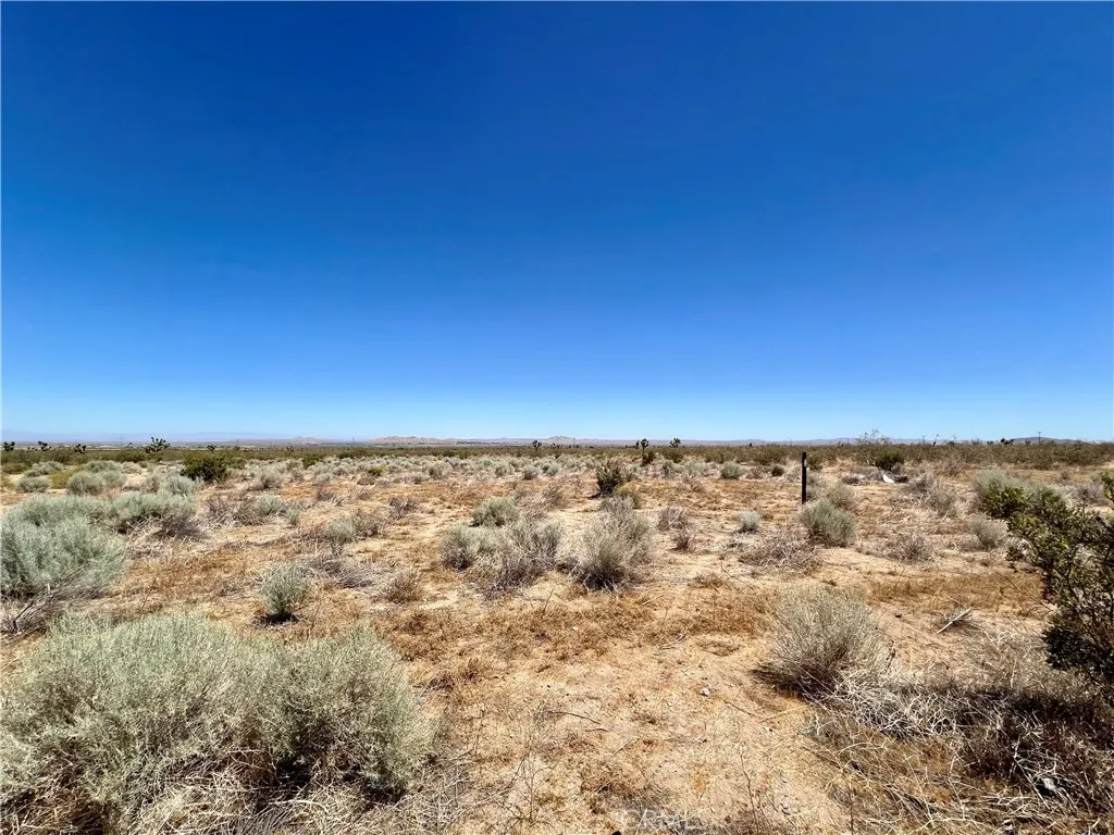 33501 165th Street E, Llano, CA 93544 - Photo 4 of 10, Llano, CA