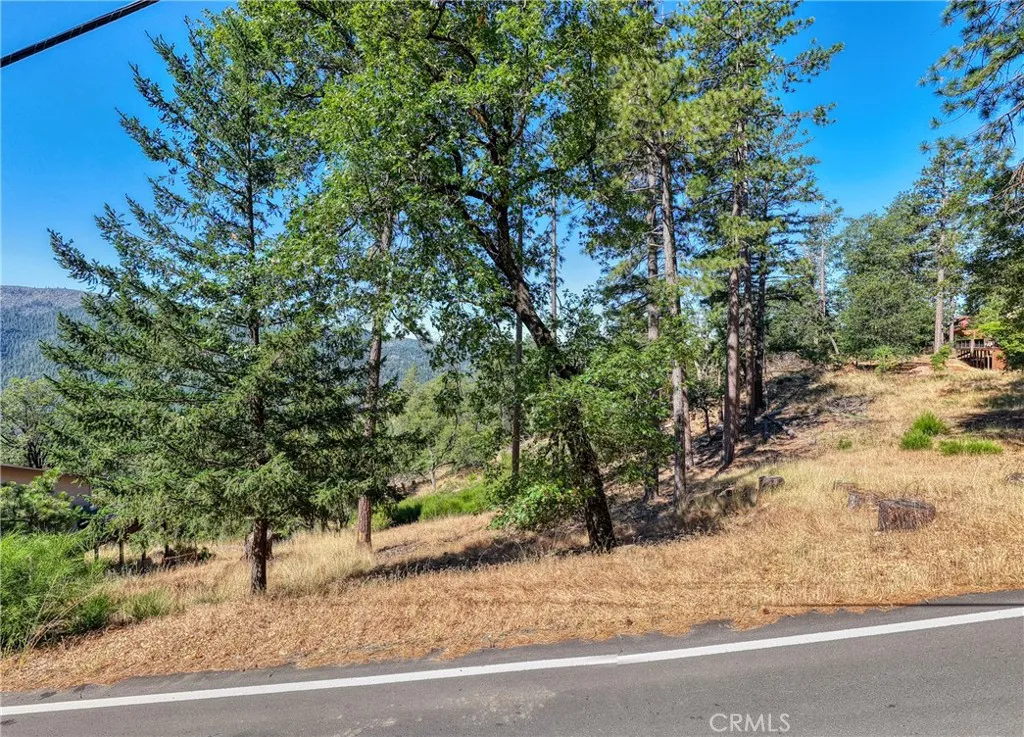 9463 Fox, Cobb, CA 95426 - Photo 4 of 10, Cobb, CA