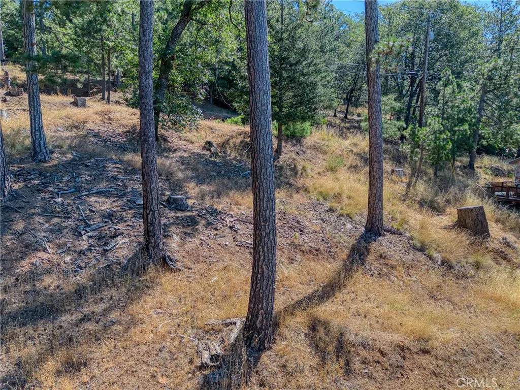 9463 Fox, Cobb, CA 95426 - Photo 5 of 10, Cobb, CA