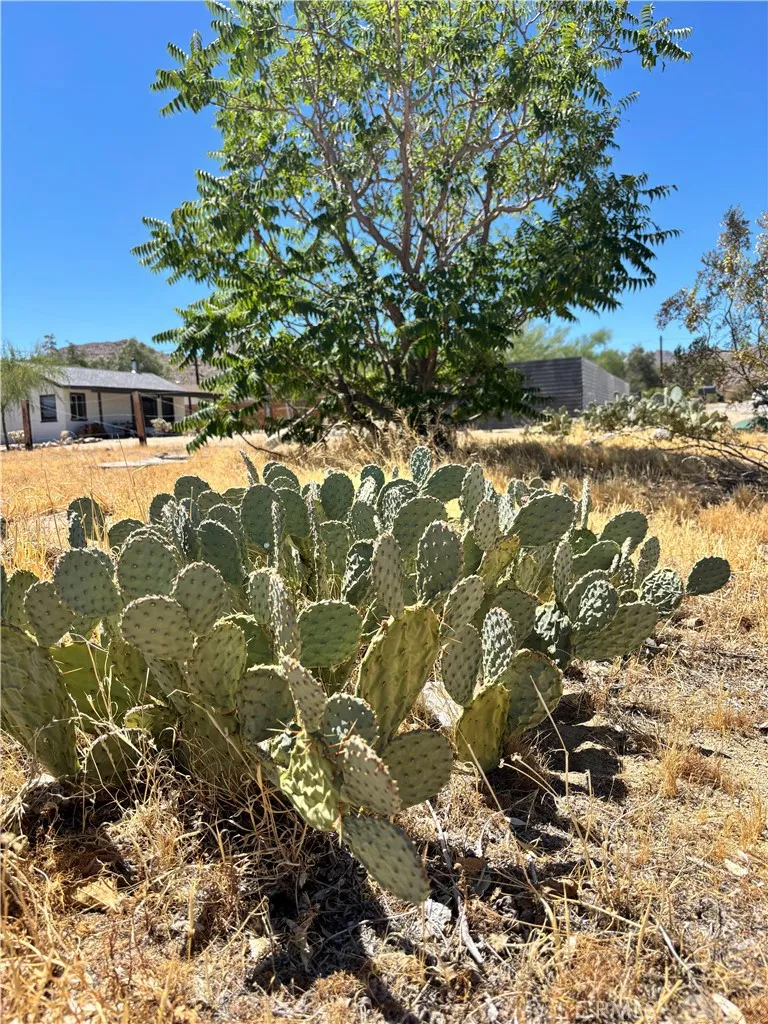 62027 Valley View, Joshua Tree, CA 92252 - Photo 5 of 20, Joshua Tree, CA