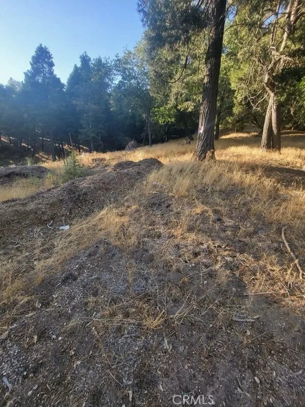 0 Lake, Crestline, CA 92325 - Photo 2 of 8, Crestline, CA