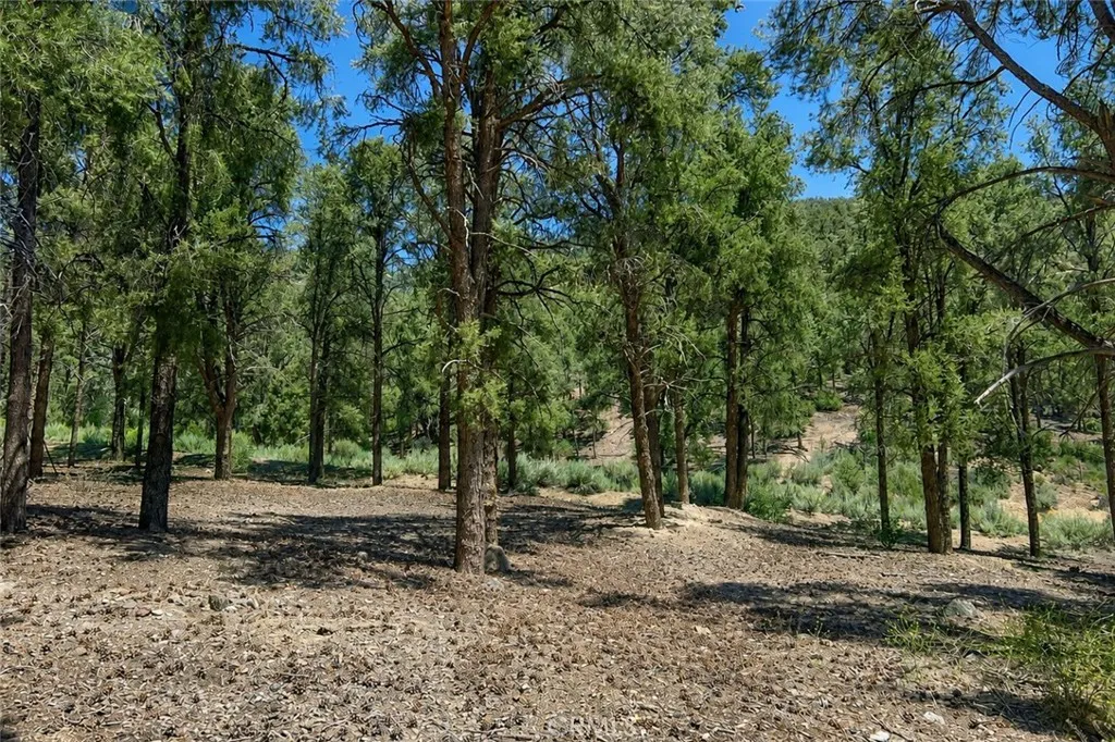 16525 Grizzly, Pine Mountain Club, CA 93222 - Photo 5 of 21, Pine Mountain Club, CA