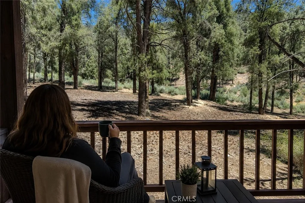 16525 Grizzly, Pine Mountain Club, CA 93222 - Photo 2 of 21, Pine Mountain Club, CA