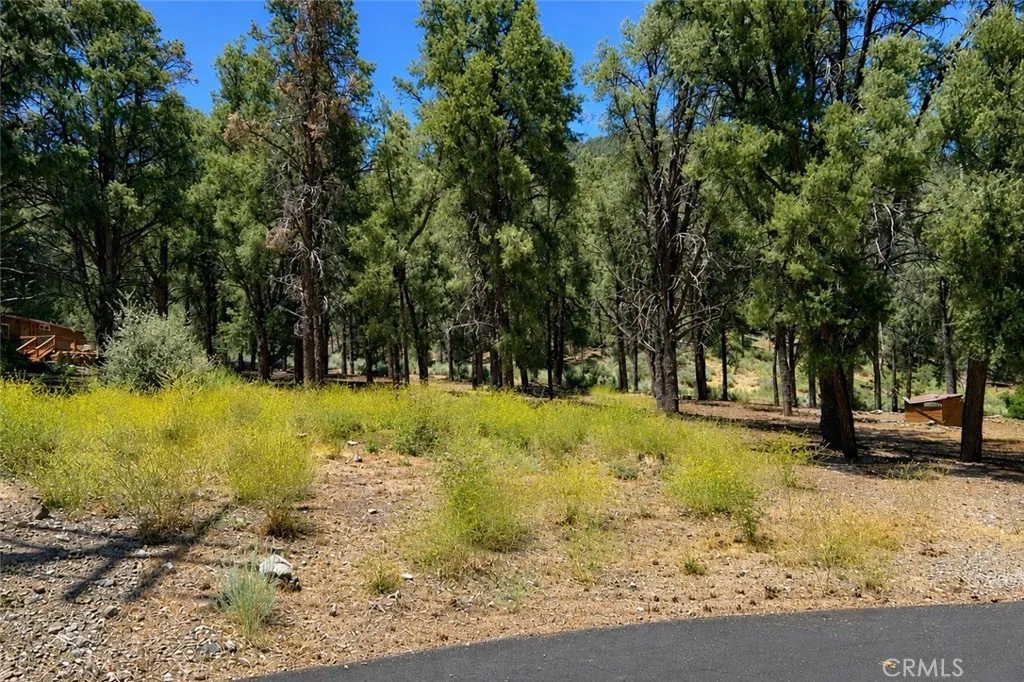 16525 Grizzly, Pine Mountain Club, CA 93222 - Photo 4 of 21, Pine Mountain Club, CA