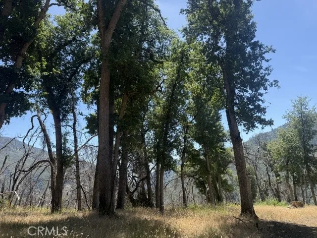 24 N #35 Rd, Paskenta, Paskenta, CA 96074 - Photo 5 of 41, Paskenta, CA