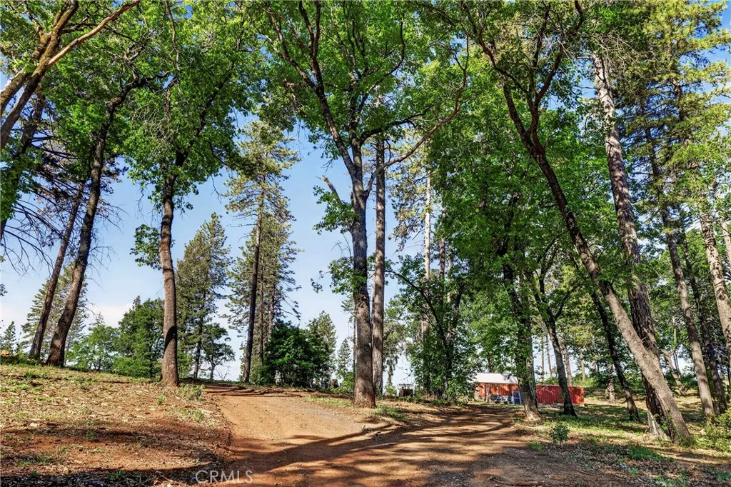 12471 Granite Ridge, Oroville, CA 95965 - Photo 4 of 53, Oroville, CA