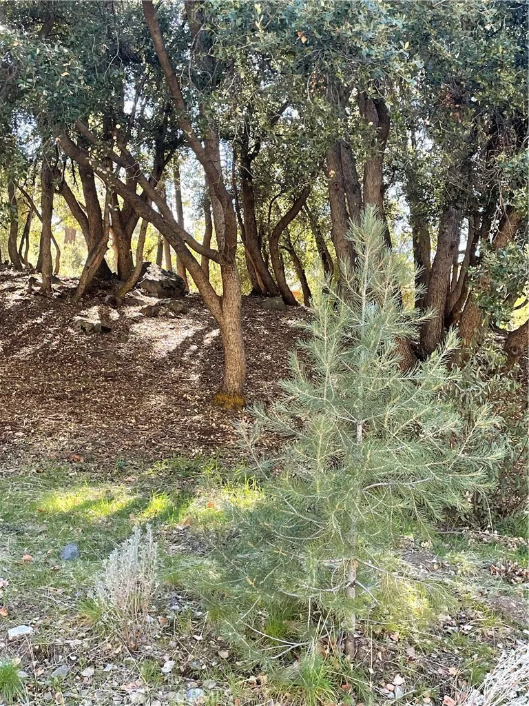 2117 Alder Ct, Pine Mountain Club, CA 93222 - Photo 3 of 3, Pine Mountain Club, CA