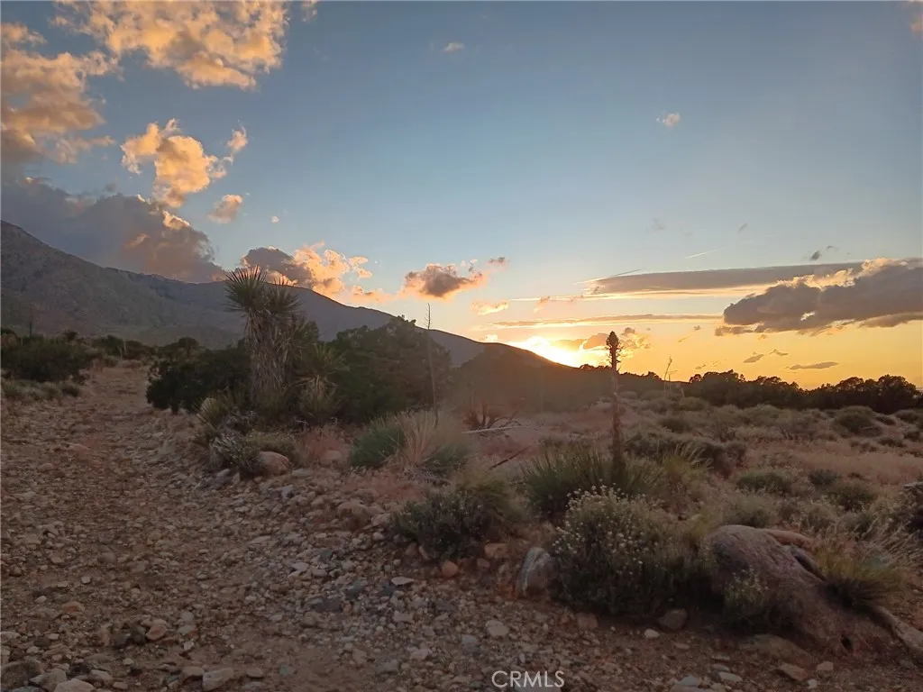 773 Richard Street, Lucerne Valley, CA 92356 - Photo 4 of 14, Lucerne Valley, CA