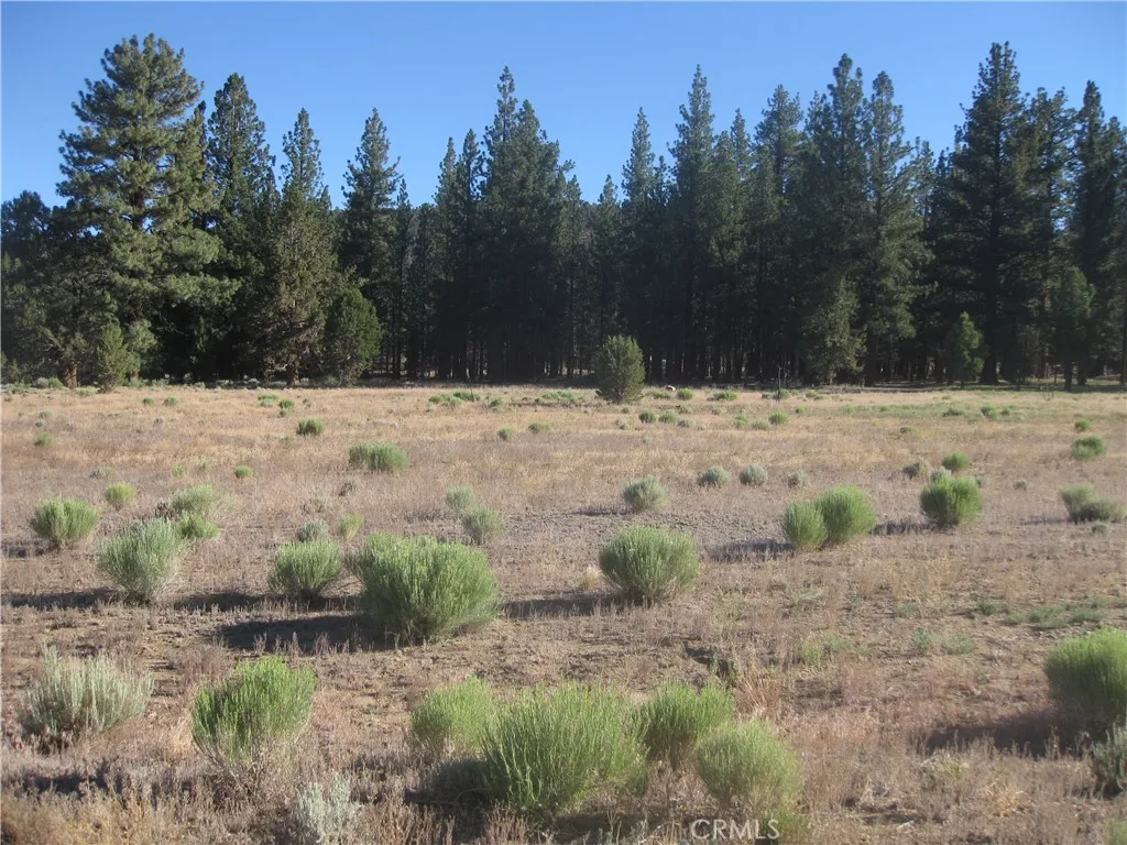 2818 Erwin Ranch Rd, Big Bear City, CA 92314 - Photo 2 of 3, Big Bear City, CA