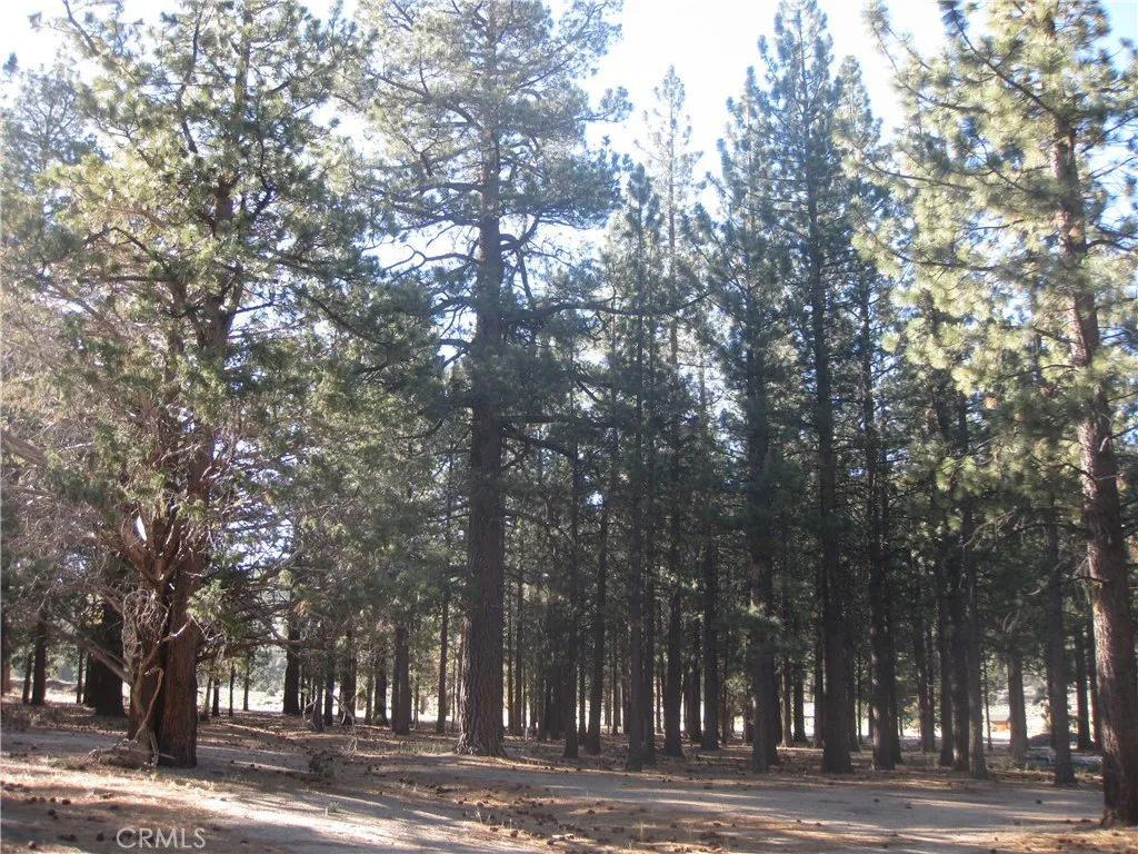 2818 Erwin Ranch Rd, Big Bear City, CA 92314 - Photo 3 of 3, Big Bear City, CA