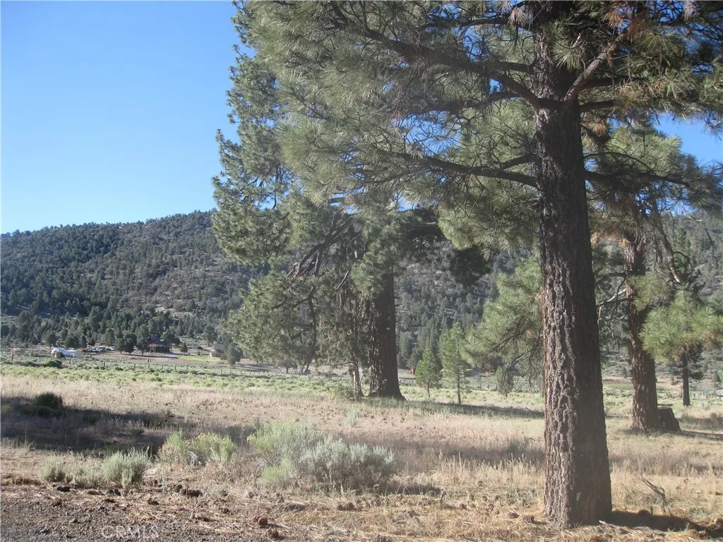 2824 Erwin Ranch Road, Big Bear City, CA 92314 - Photo 4 of 4, Big Bear City, CA