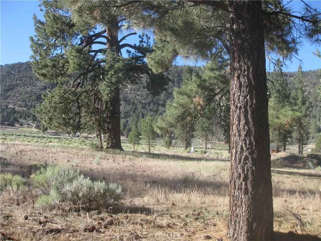 2824 Erwin Ranch Road, Big Bear City, CA 92314 - Photo 2 of 4, Big Bear City, CA
