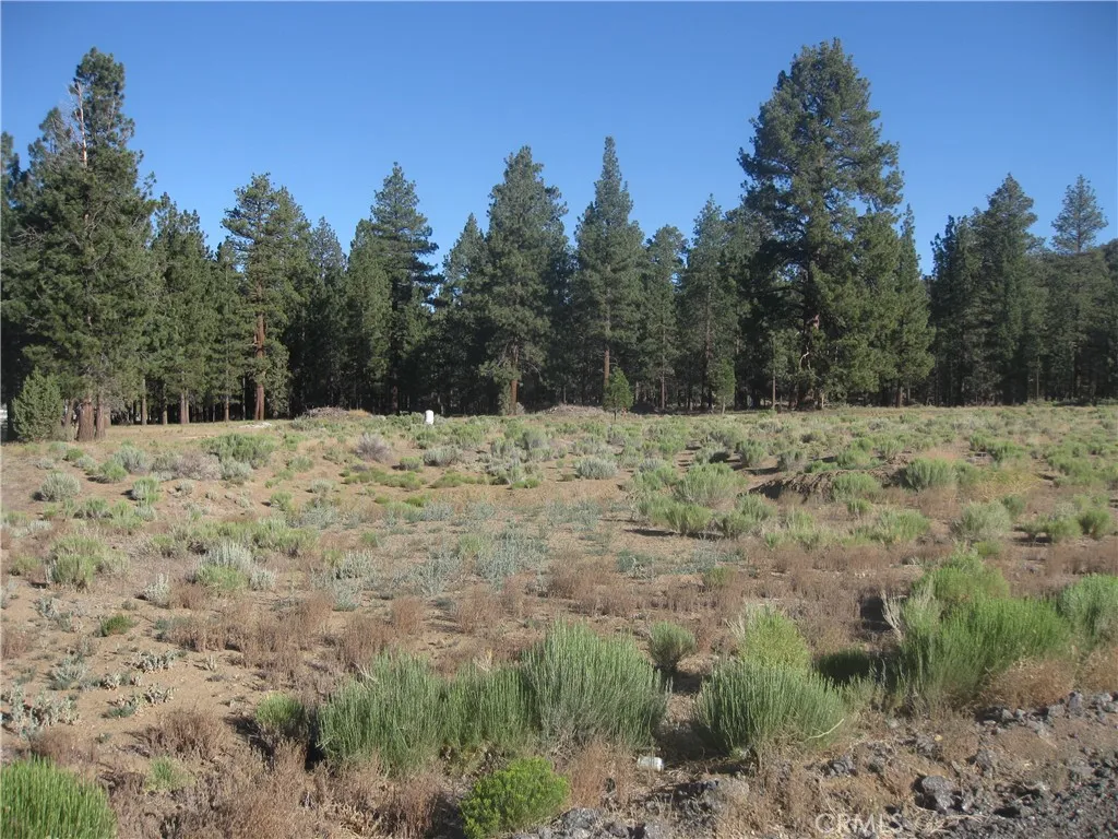 2824 Erwin Ranch Road, Big Bear City, CA 92314 - Photo 3 of 4, Big Bear City, CA