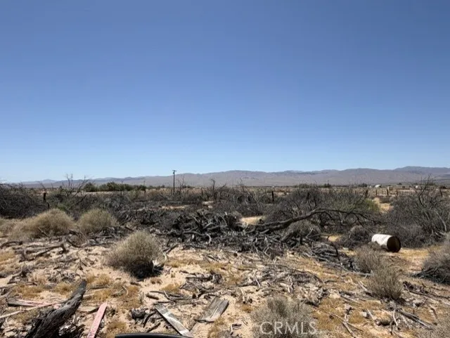 48423 Thoreau Road, Newberry Springs, CA 92365 - Photo 2 of 15, Newberry Springs, CA