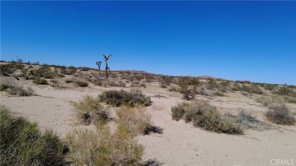 0 Campanula, Joshua Tree, CA 92252 - Photo 3 of 4, Joshua Tree, CA