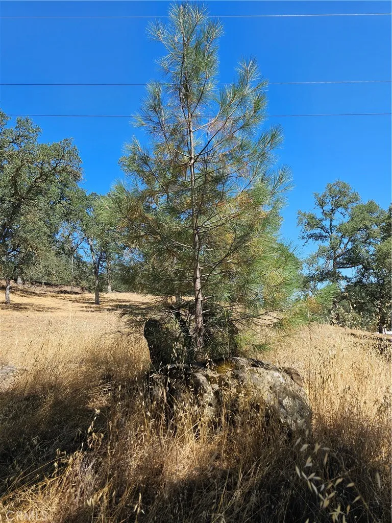 15847 Joseph, Lower Lake, CA 95457 - Photo 4 of 8, Lower Lake, CA
