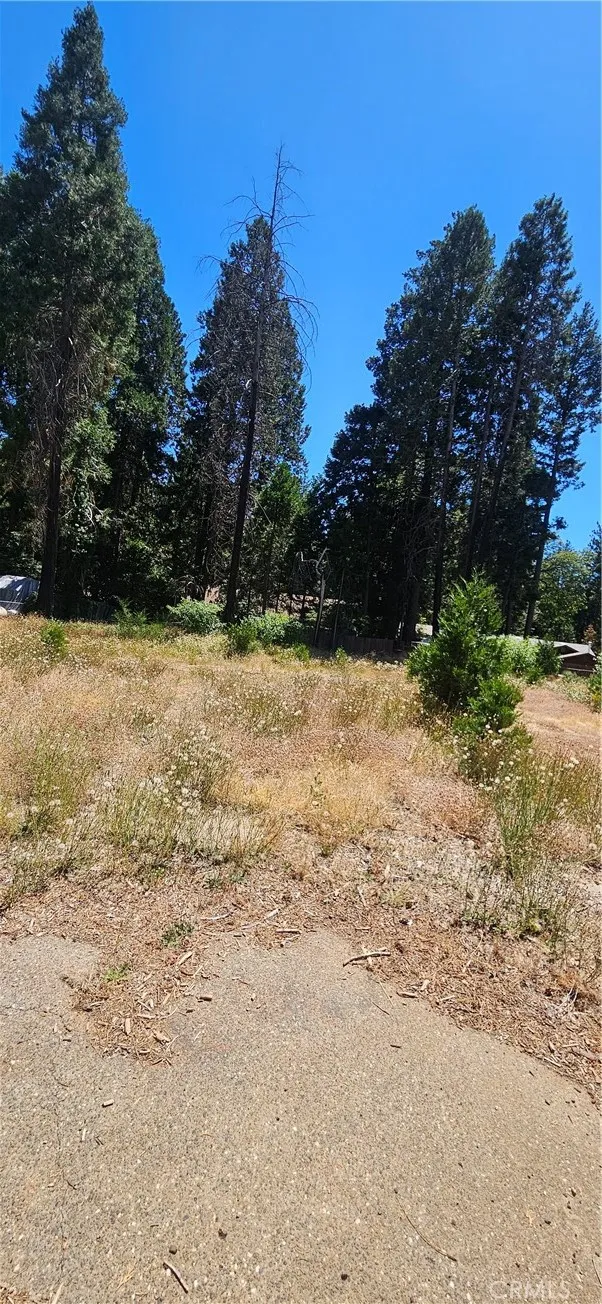 14214 Wingate, Magalia, CA 95954 - Photo 3 of 6, Magalia, CA