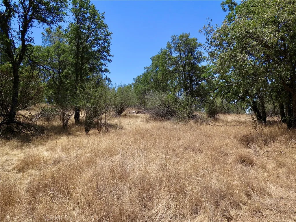 0 Ramblin Rd, Mariposa, CA 95338 - Photo 3 of 13, Mariposa, CA