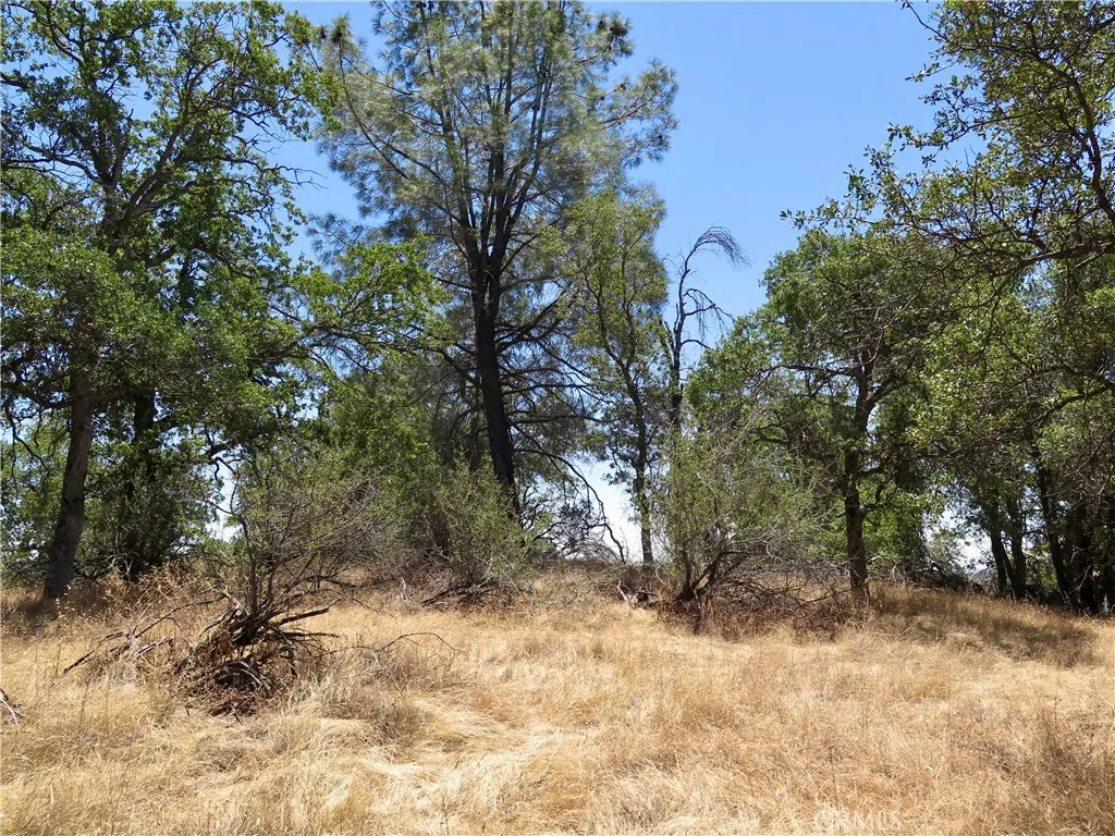 0 Ramblin Rd, Mariposa, CA 95338 - Photo 5 of 13, Mariposa, CA