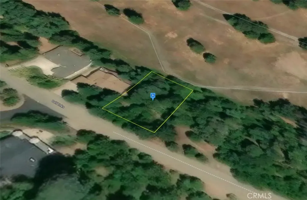 26581 Golf Links, Pioneer, CA 95666 - Photo 3 of 5, Pioneer, CA