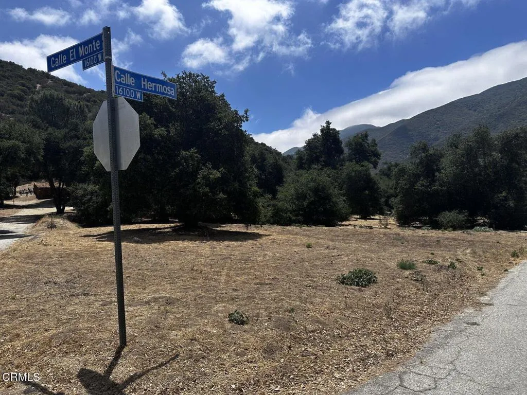 0 Calle Hermosa, Green Valley, CA 91390 - Photo 2 of 13, Green Valley, CA