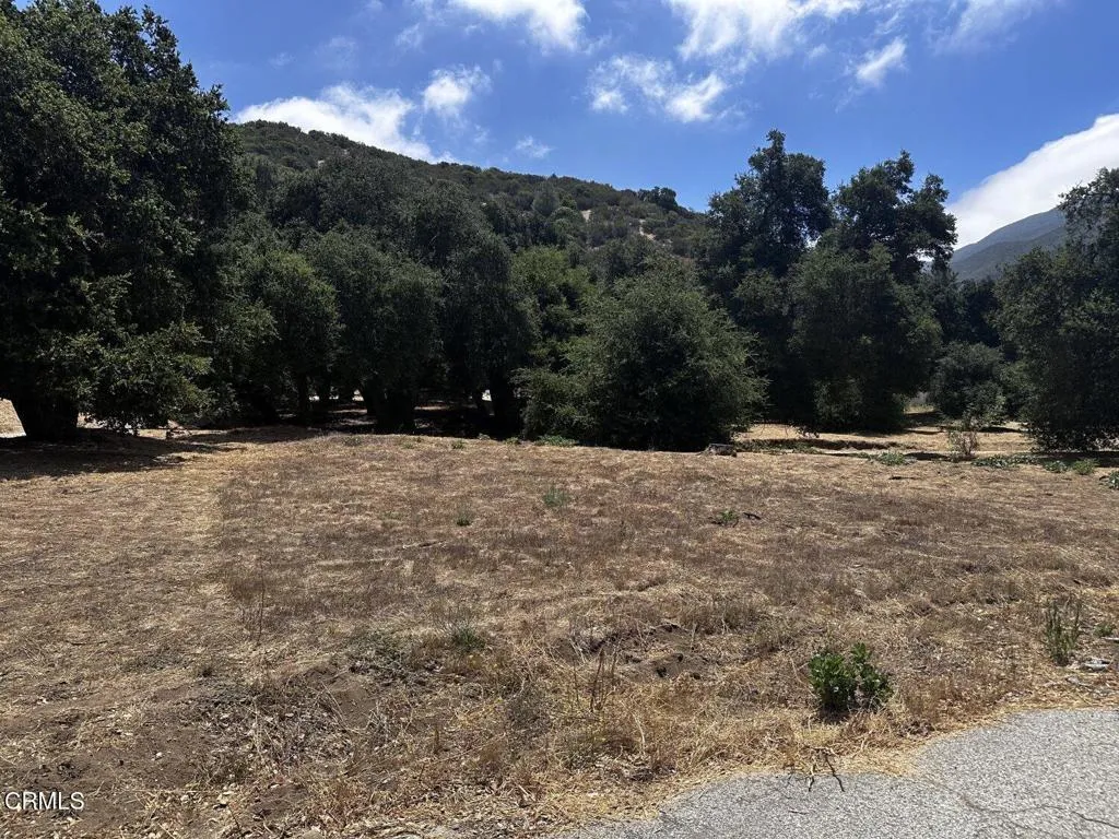 0 Calle Hermosa, Green Valley, CA 91390 - Photo 4 of 13, Green Valley, CA