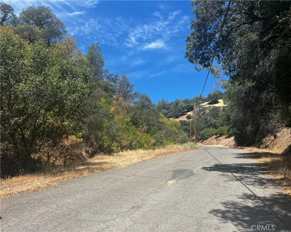 12225 Mount View