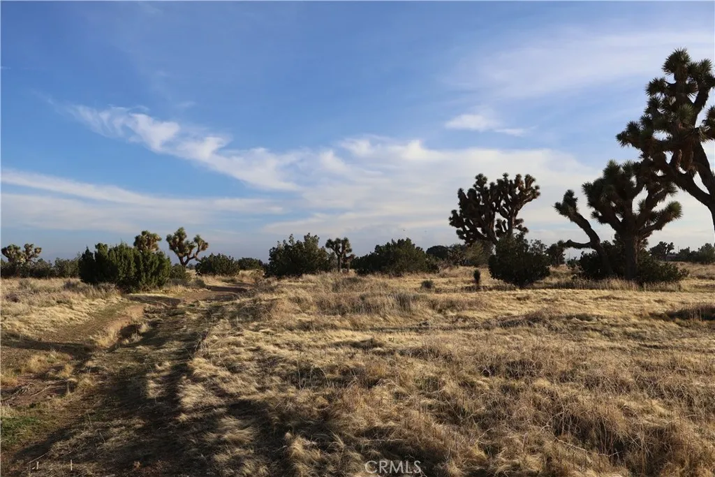 9955 Macron, Hesperia, CA 92344 - Photo 3 of 24, Hesperia, CA