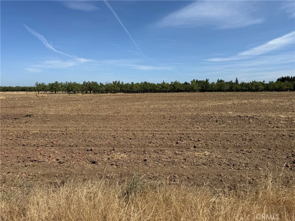 0 Jones, Durham, CA 95938 - Photo 2 of 4, Durham, CA