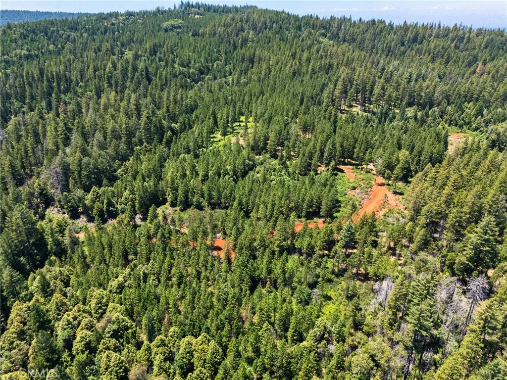 0 Old Forbestown, Forbestown, CA 95941 - Photo 4 of 19, Forbestown, CA