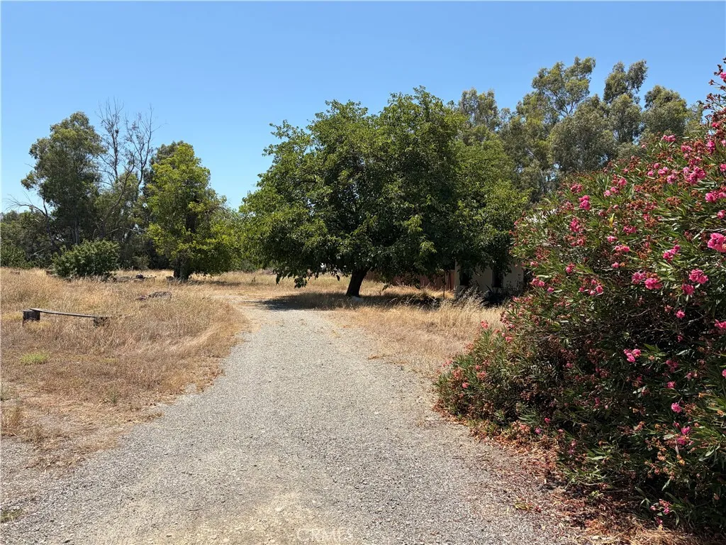 6517 County Road 18, Orland, CA 95963 - Photo 2 of 11, Orland, CA