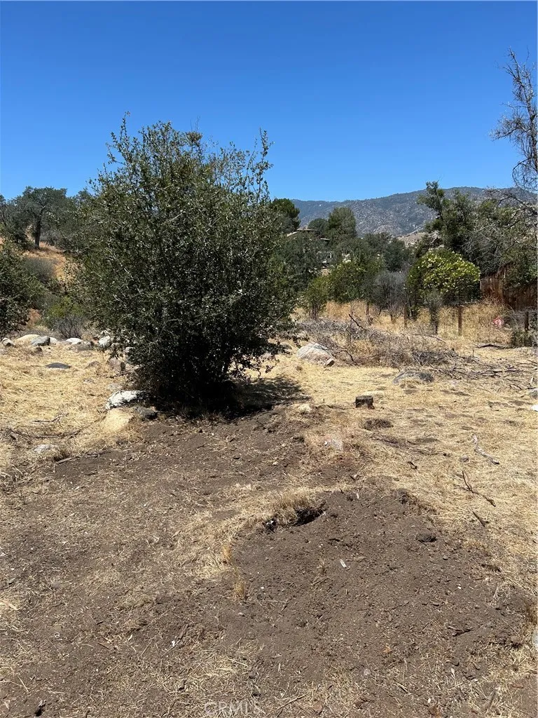 248 Bodfish Canyon, Bodfish, CA 93205 - Photo 4 of 14, Bodfish, CA
