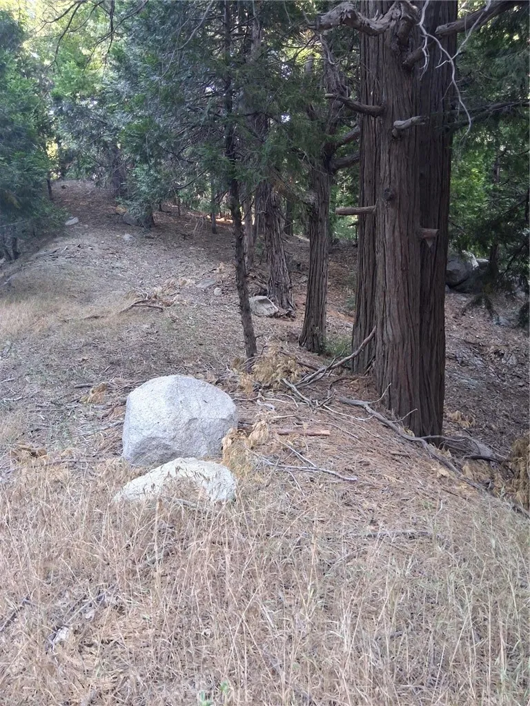 6 Finhaut, Crestline, CA 92325 - Photo 2 of 9, Crestline, CA