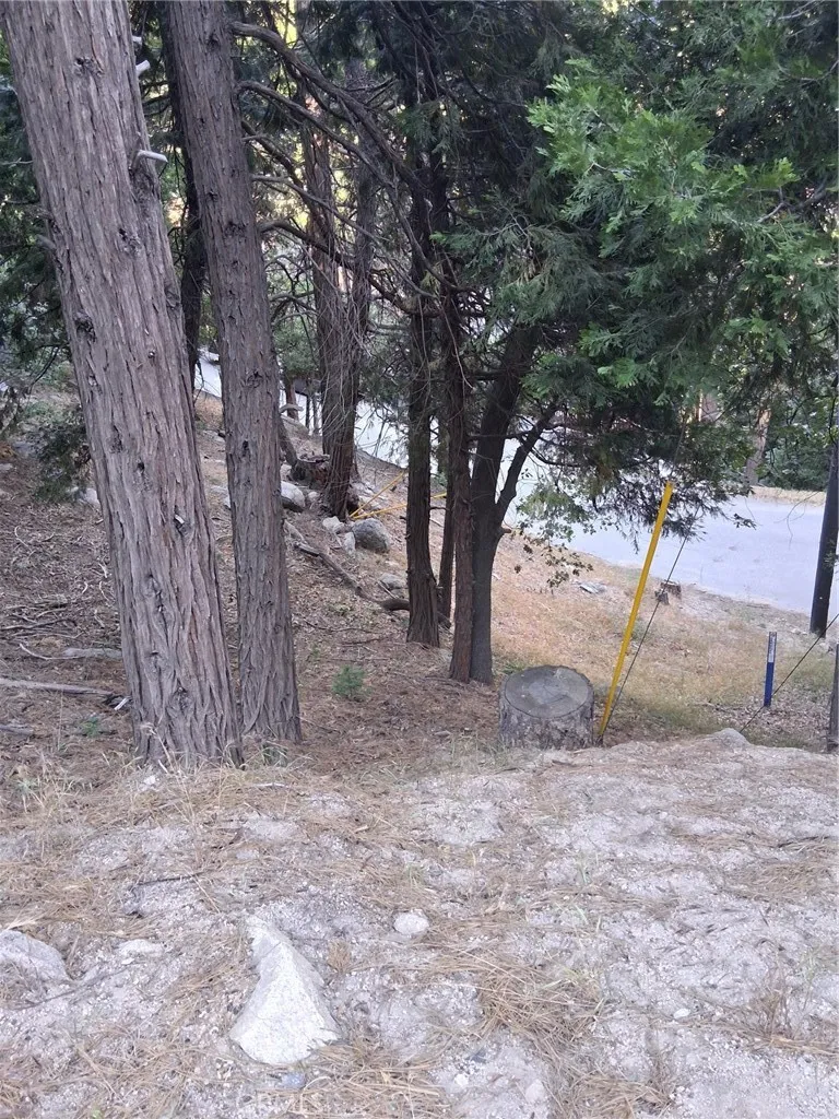 6 Finhaut, Crestline, CA 92325 - Photo 3 of 9, Crestline, CA