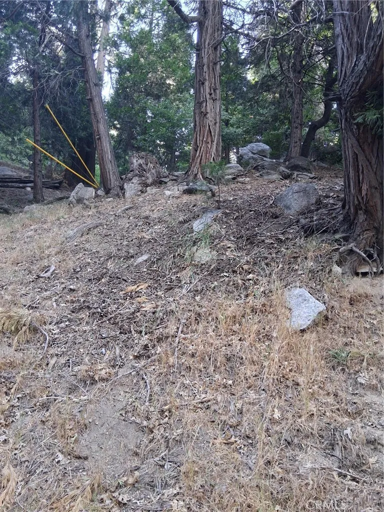 6 Finhaut, Crestline, CA 92325 - Main photo, Crestline, CA