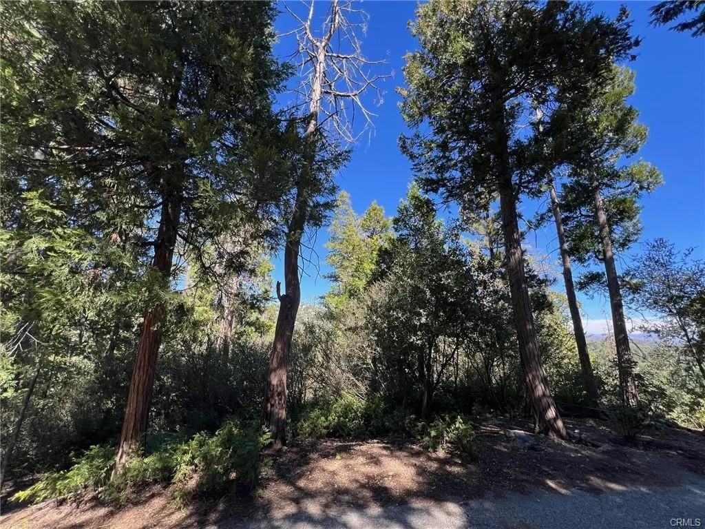 27530 North Bay Road, Lake Arrowhead, CA 92352 - Photo 5 of 7, Lake Arrowhead, CA
