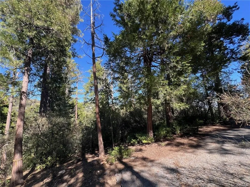 27530 North Bay Road, Lake Arrowhead, CA 92352 - Photo 4 of 7, Lake Arrowhead, CA
