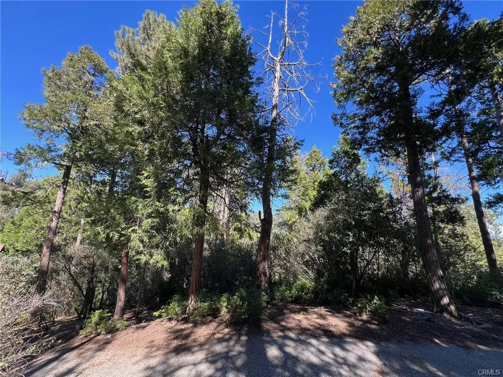 27530 North Bay Road, Lake Arrowhead, CA 92352 - Photo 3 of 7, Lake Arrowhead, CA