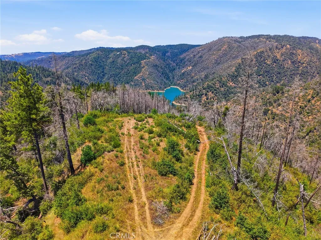 0 Berry Creek Road, Berry Creek, CA 95966 - Photo 3 of 24, Berry Creek, CA