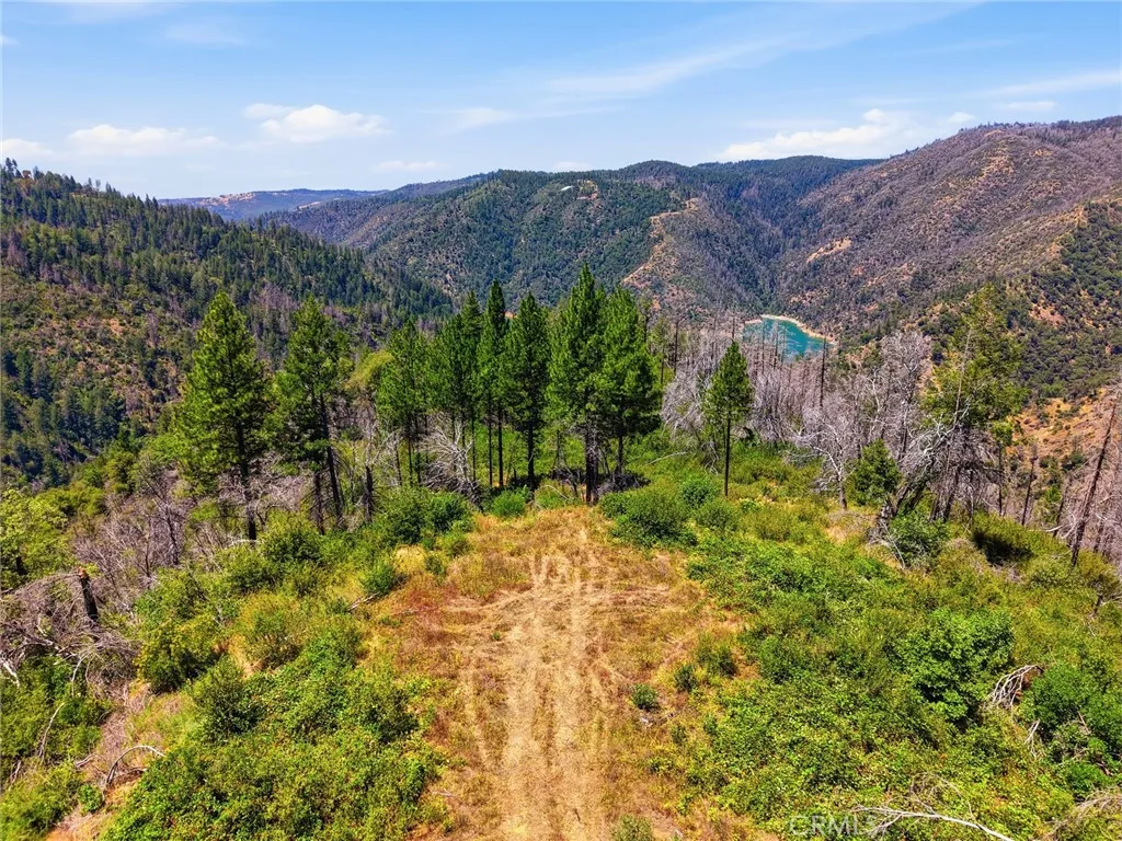 0 Berry Creek Road, Berry Creek, CA 95966 - Photo 4 of 24, Berry Creek, CA