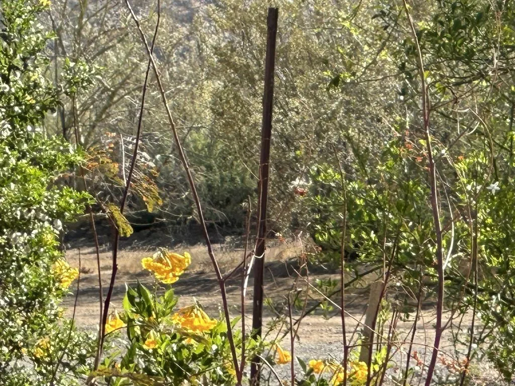 0 Great Southern Overland Stage, Julian, CA 92036 - Photo 3 of 7, Julian, CA