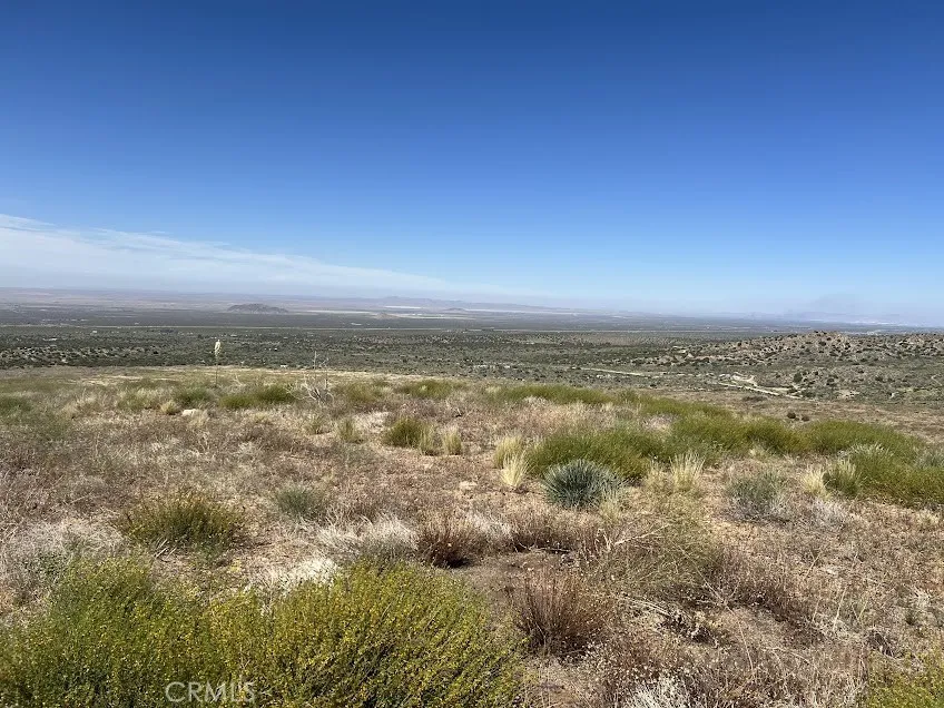 0 200, Llano, CA 93544 - Photo 3 of 65, Llano, CA