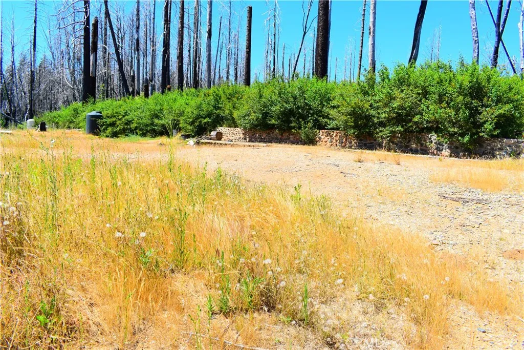461 Milsap Bar, Berry Creek, CA 95916 - Main photo, Berry Creek, CA