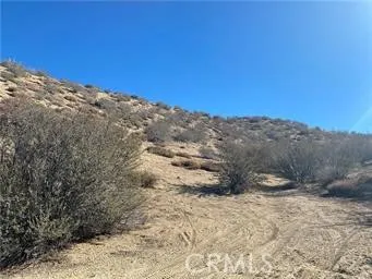 0 Dry Creek, Pinon Hills, CA 92372 - Photo 3 of 4, Pinon Hills, CA