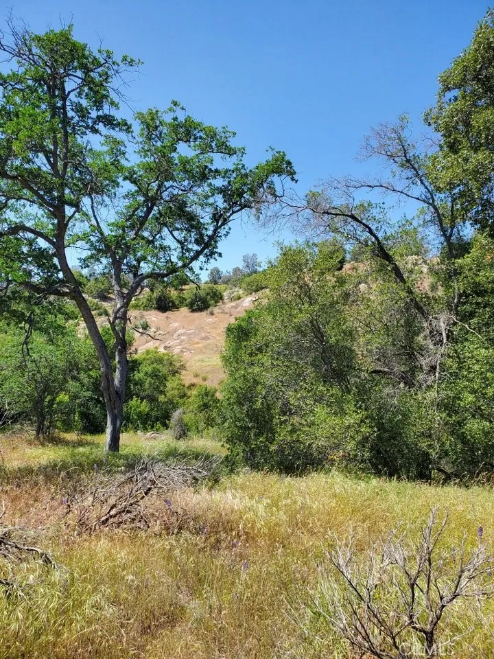 0 Ranger Circle, Coarsegold, CA 93614 - Photo 3 of 17, Coarsegold, CA