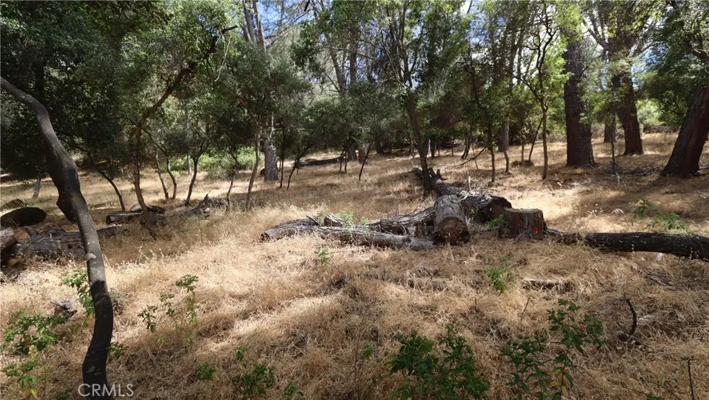 10465 Boren Bega, Kelseyville, CA 95451 - Photo 3 of 13, Kelseyville, CA