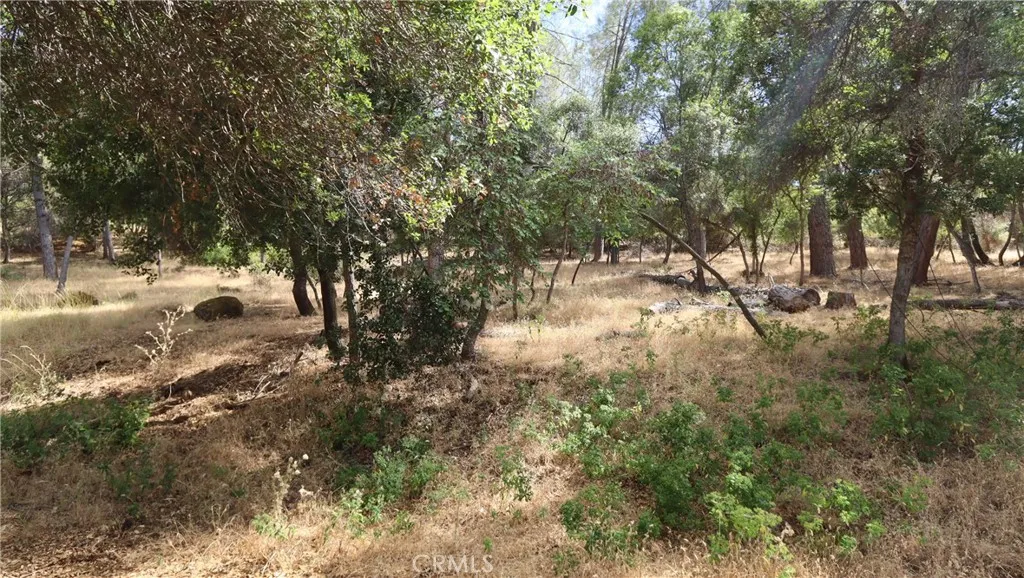 10465 Boren Bega, Kelseyville, CA 95451 - Main photo, Kelseyville, CA
